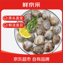 鲜京采 活鲜 大美贝净重5斤 每斤17-22粒 新鲜蛤蜊花甲 源头直发